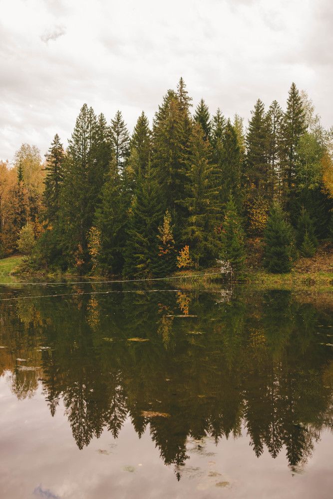 Photograph by Евгения Черемных