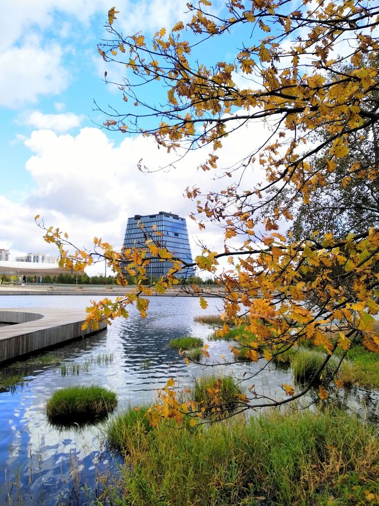 Photograph by Ольга Антохина