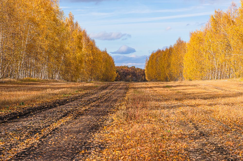 Фотография автора Николай Бологов