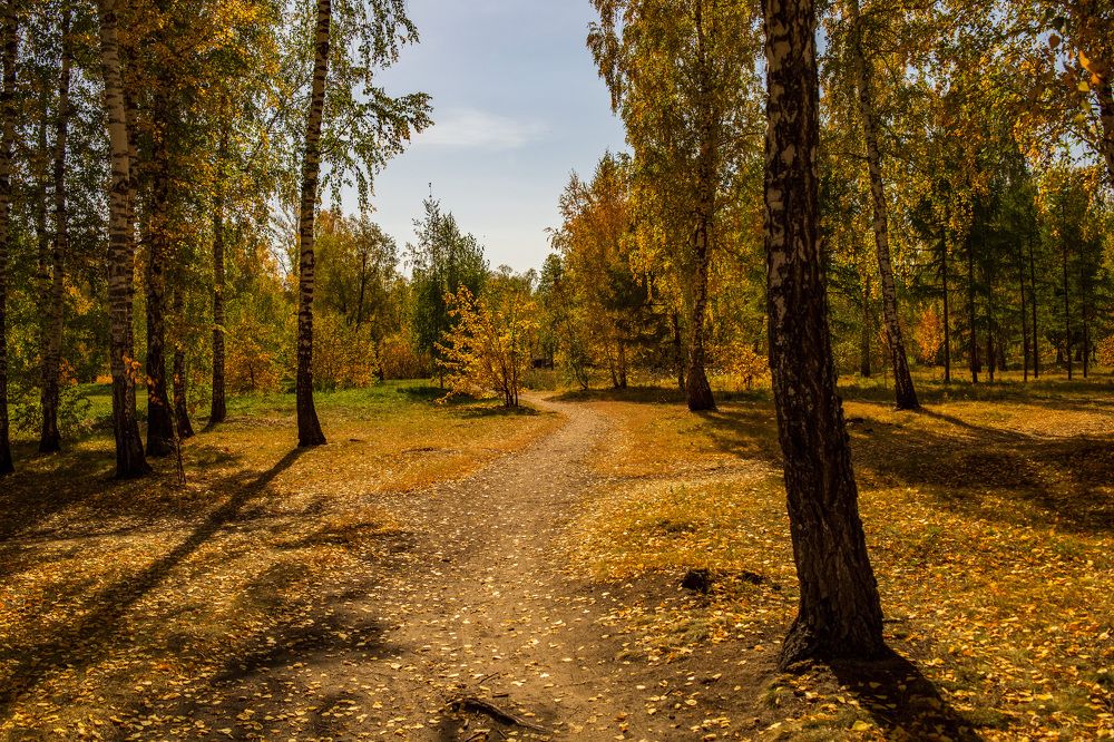 Осенний парк