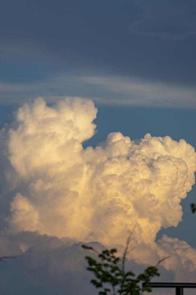 Фотография автора Павлов Дмитрий