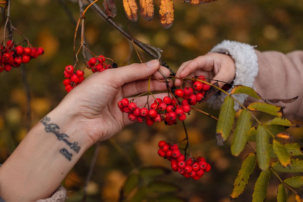 Фотография автора Алёна Подгорная