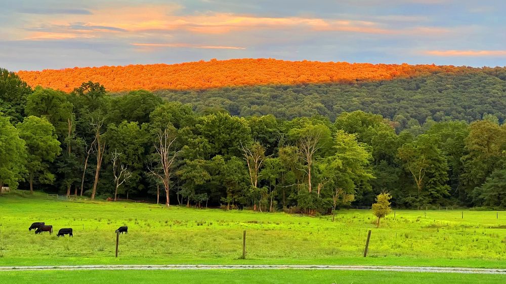 Photograph by Владимир Молостов