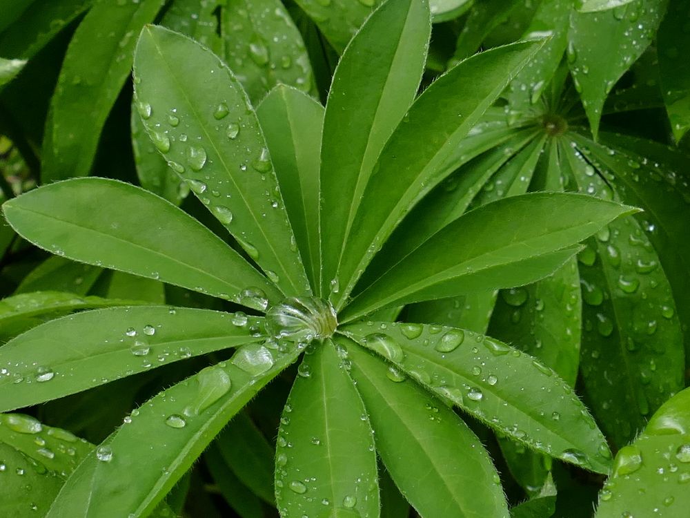 Photograph by Александр Кизим