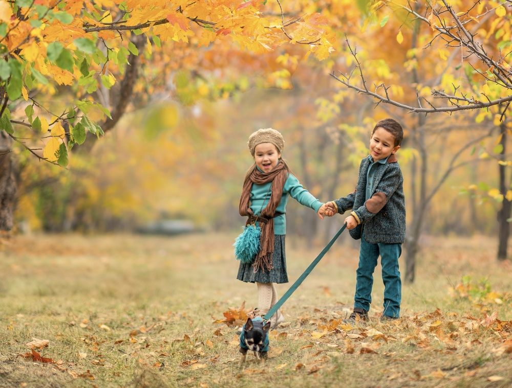 Счастье в мелочах