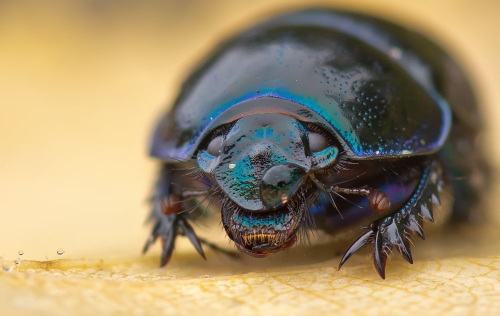 Photograph by  НиКоЛаЙ