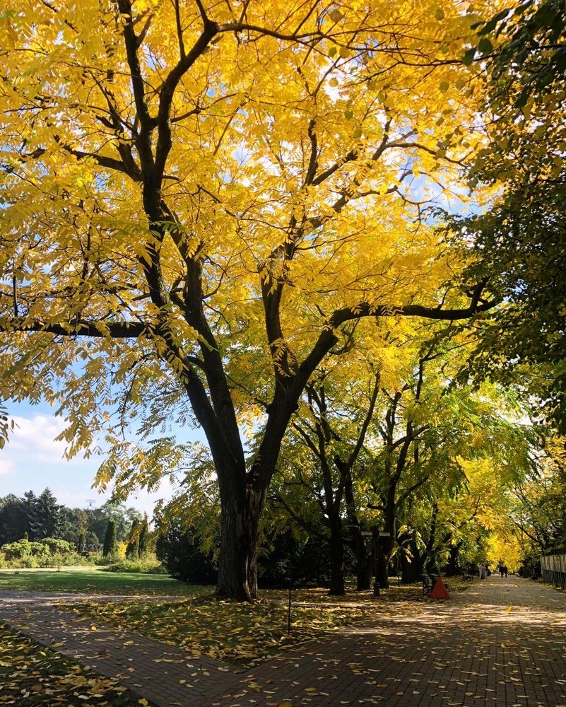 Photograph by Лариса Акинчиц