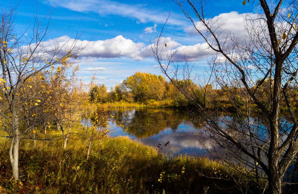 Photograph by Елена Гольдебаева