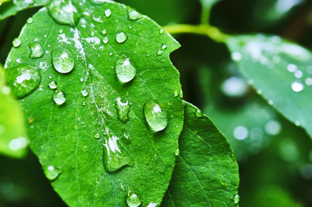 Photograph by Руслан Ибрагимов