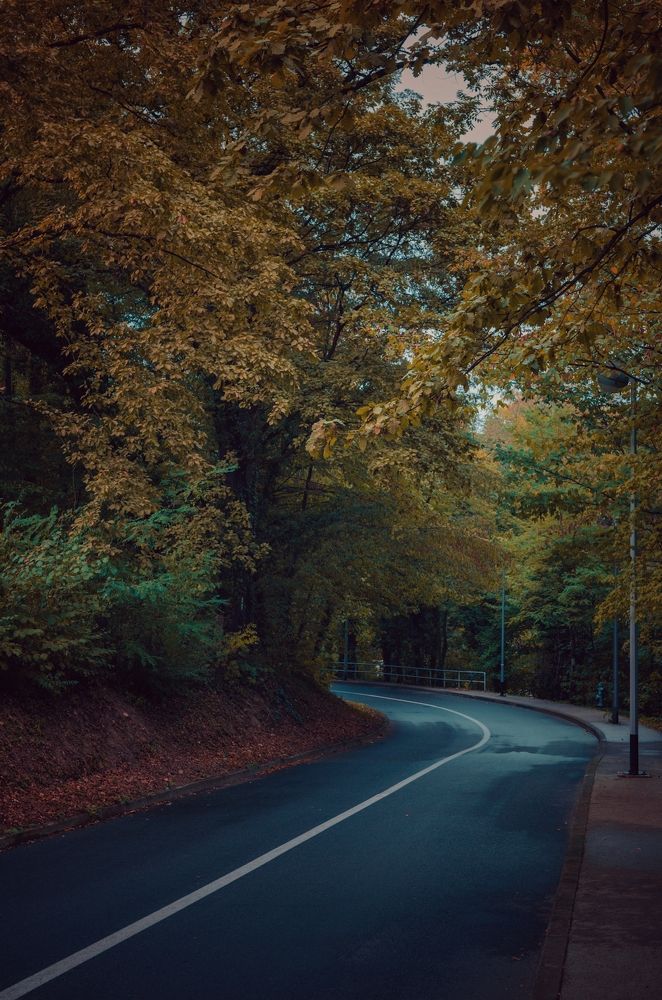 Photograph by Omer Gojak