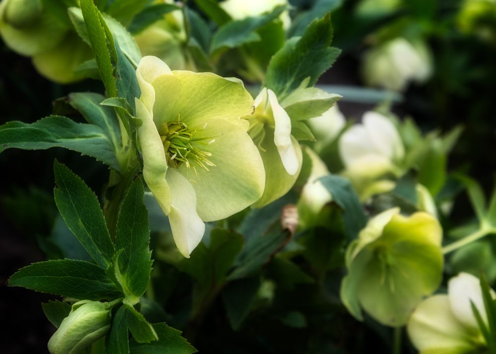 Photograph by Владимир Кваша