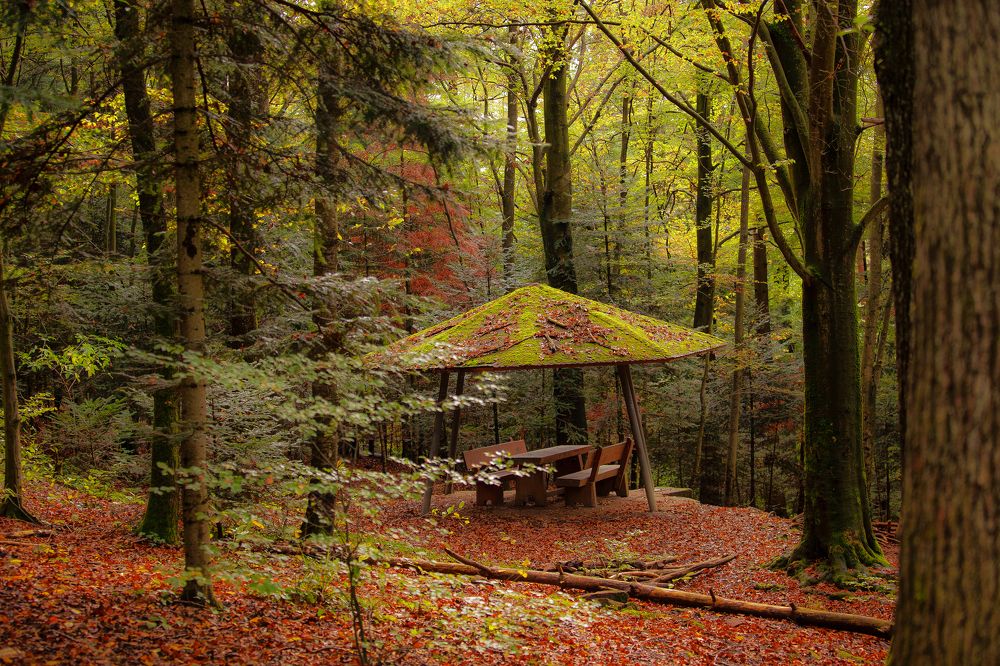 Photograph by Adrian Sararu