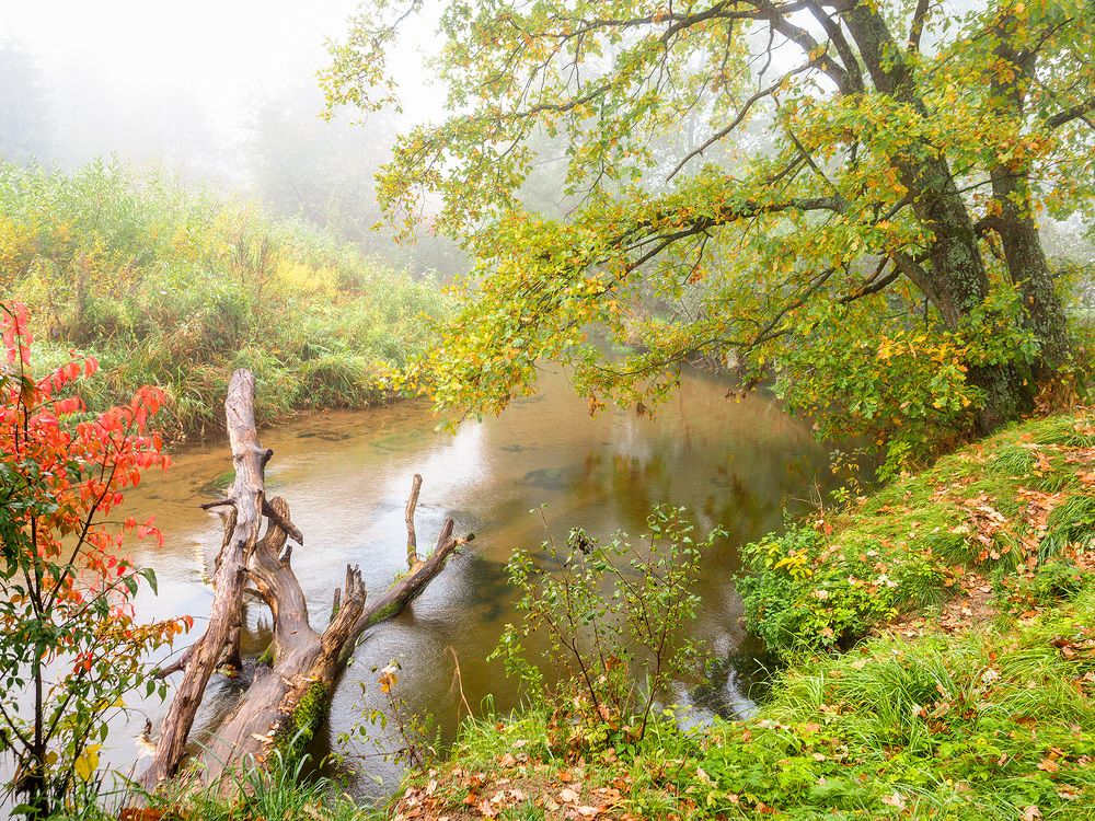 Photograph by Алла Толстая