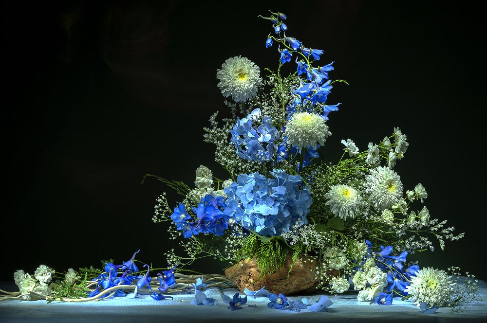 Photograph by Ольга Дядченко