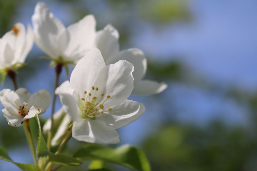 Photograph by Софья Белоногова