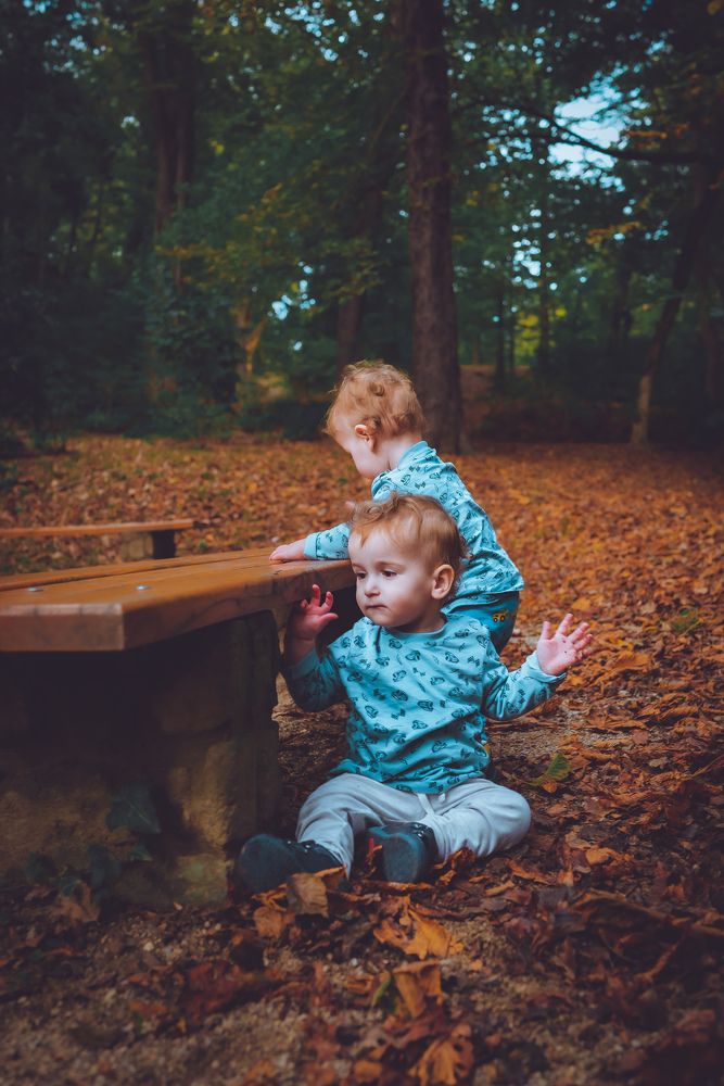 Photograph by Omer Gojak