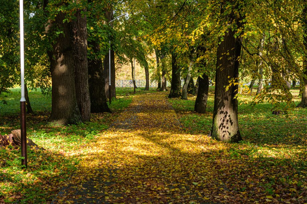 Photograph by Иван Курятников