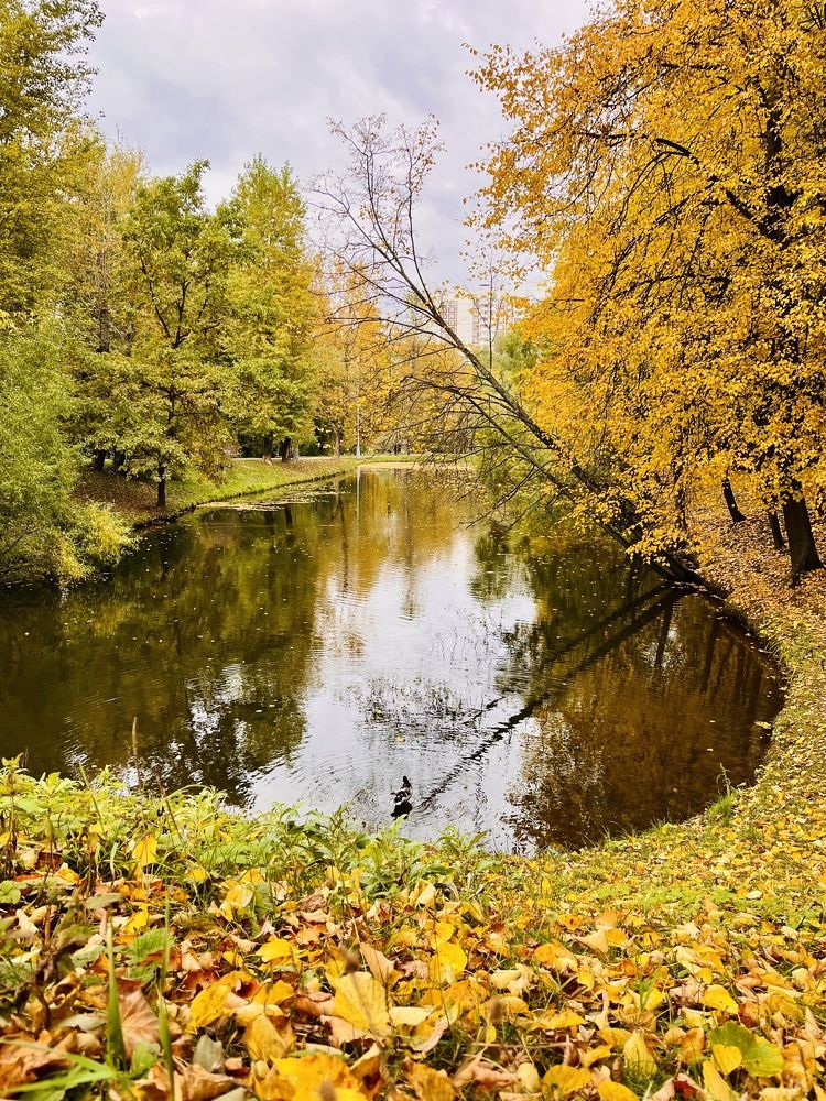 Золотой октябрь