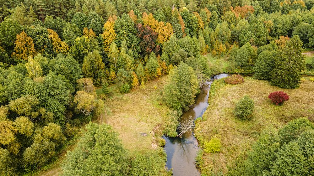 Photograph by Алла Толстая