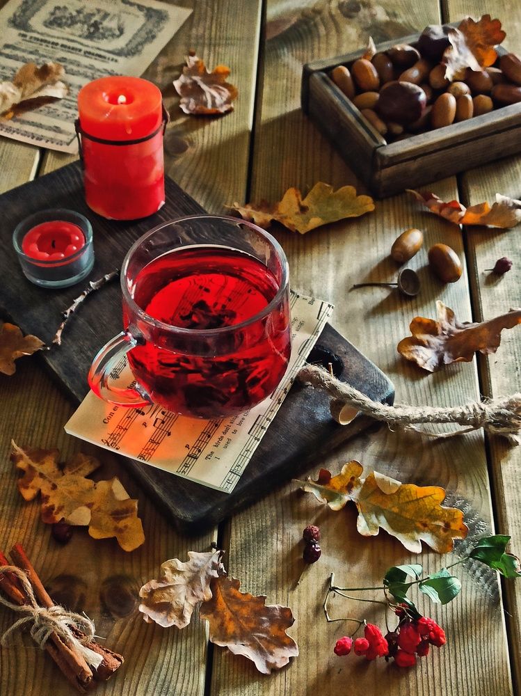 Photograph by Дина Полухина