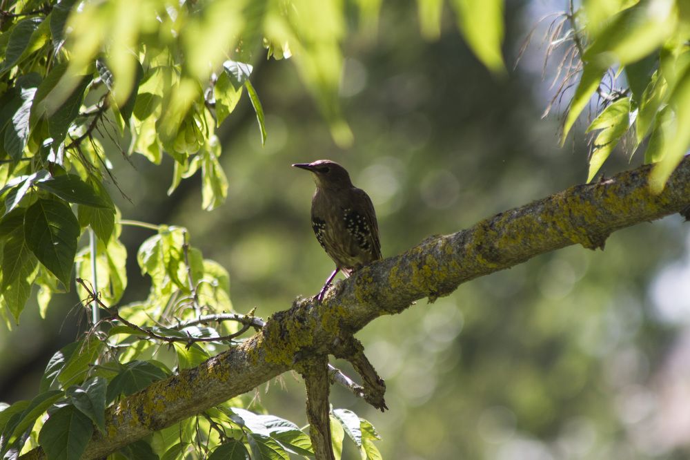 Photograph by Александр Новиков