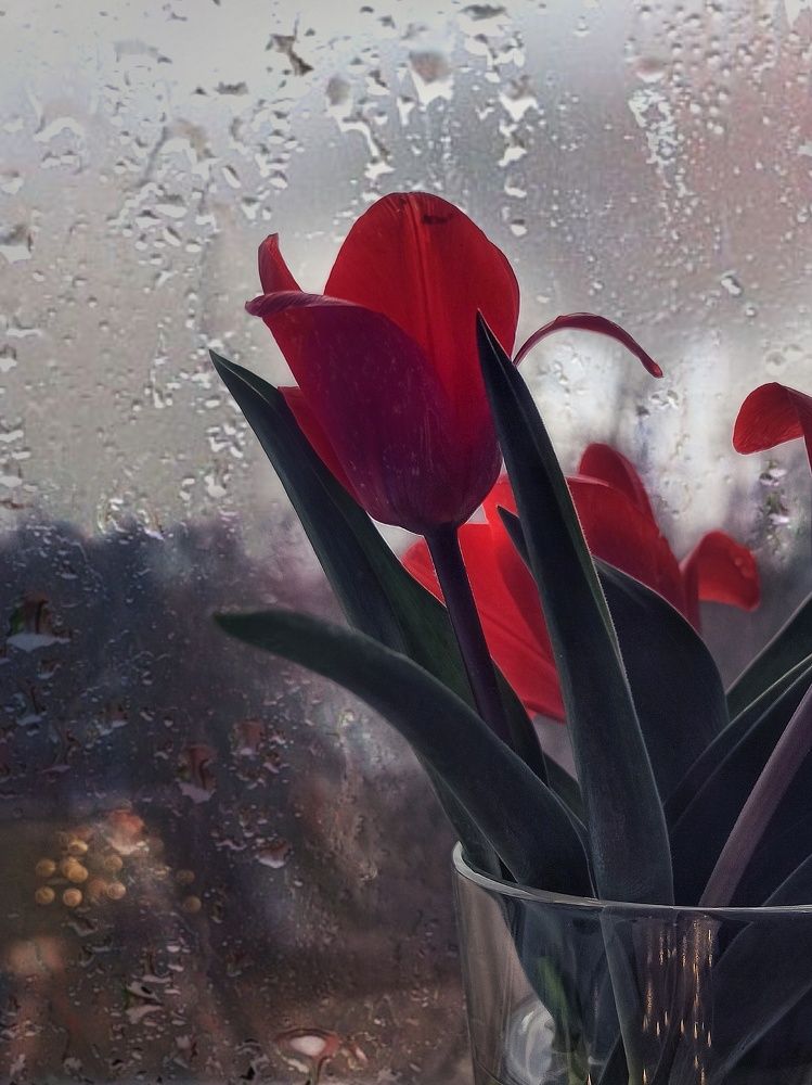 Photograph by Дина Полухина