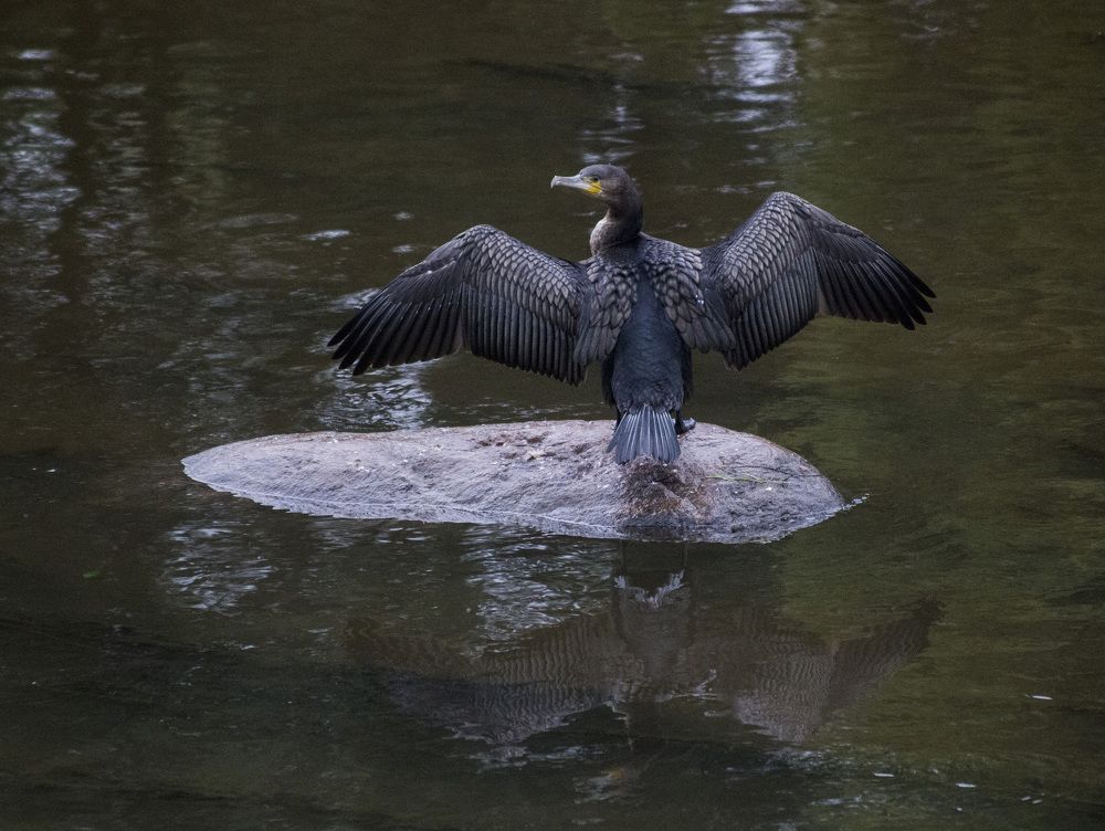 Photograph by Александр Новиков