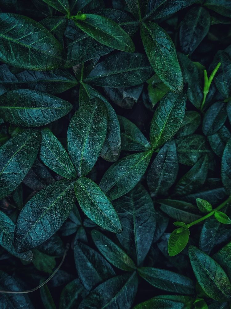 Photograph by Дина Полухина