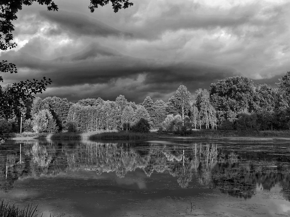 Photograph by Małgorzata Szymańska