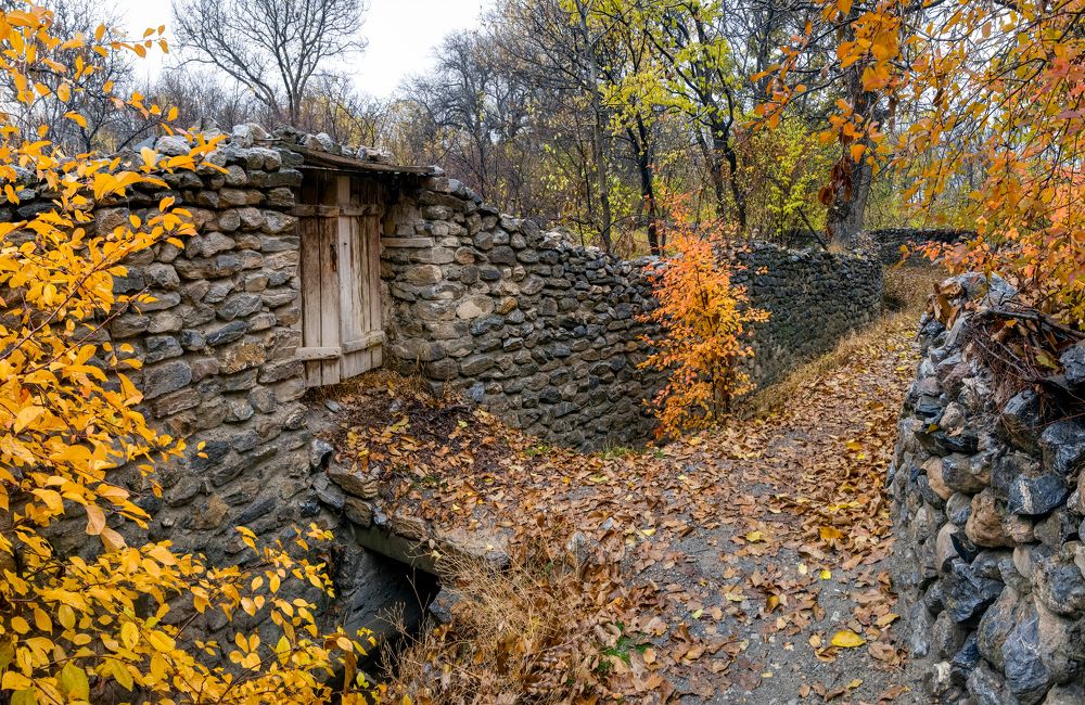 Photograph by masoud haghani