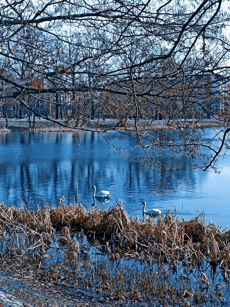 Photograph by Дина Полухина