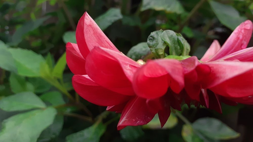 Photograph by Елена Лещева