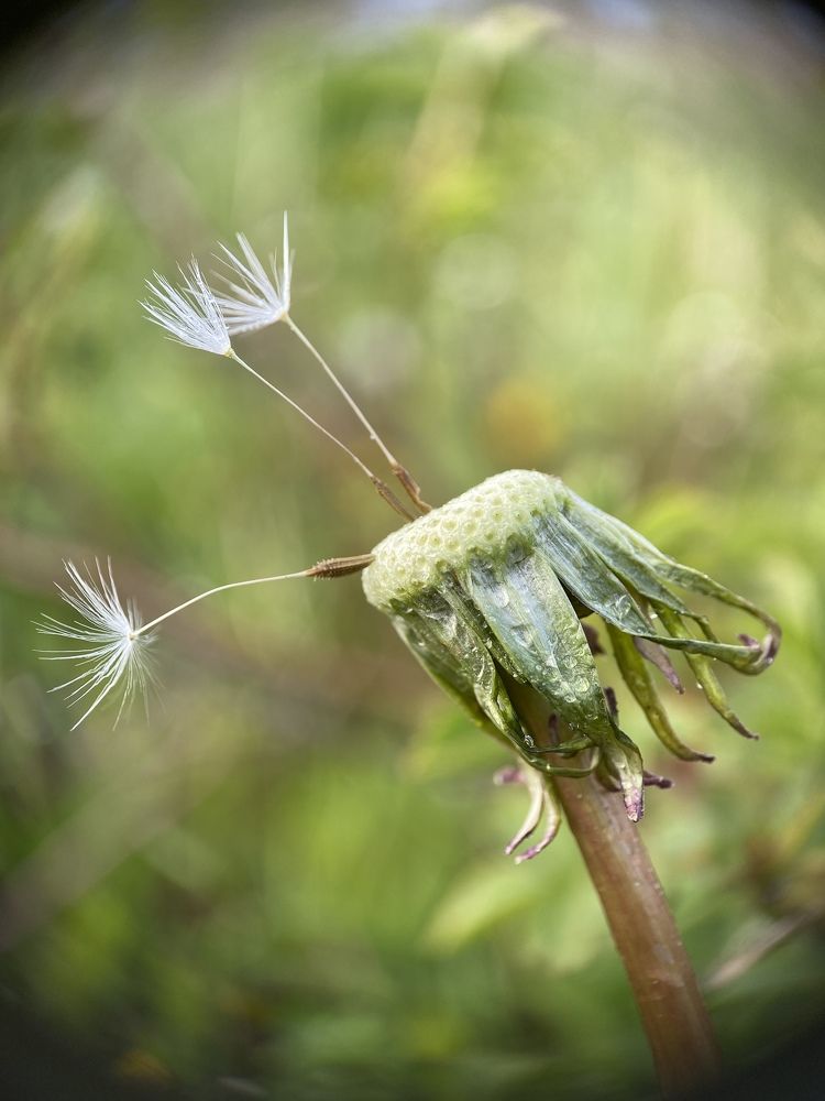 Photograph by Марина