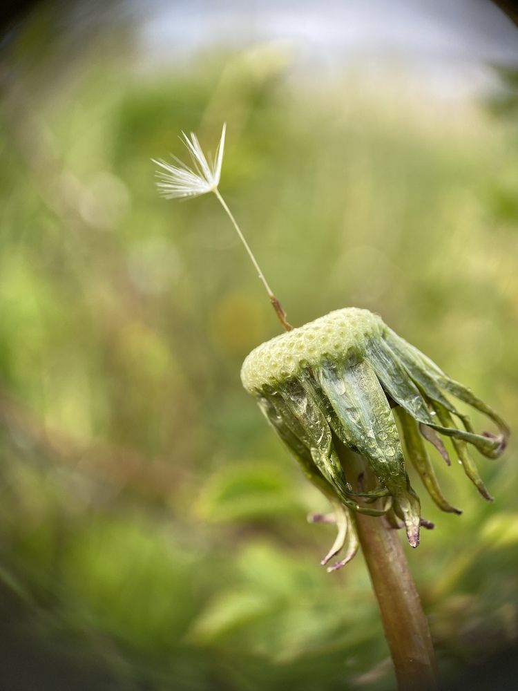 Photograph by Марина