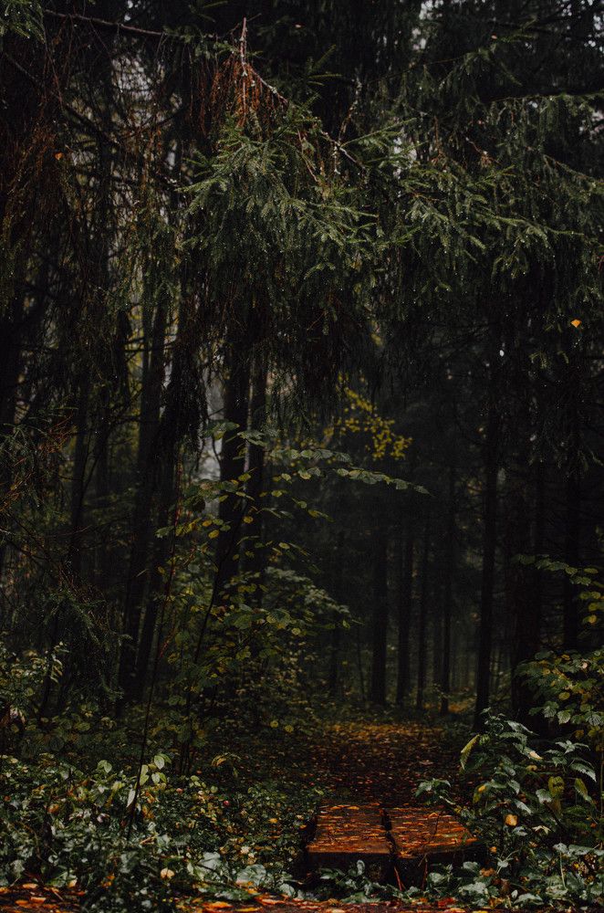 Photograph by Анастасия Тихомирова