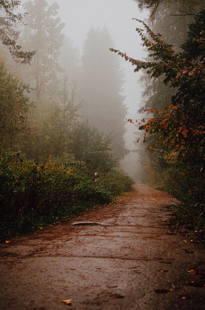 Photograph by Анастасия Тихомирова