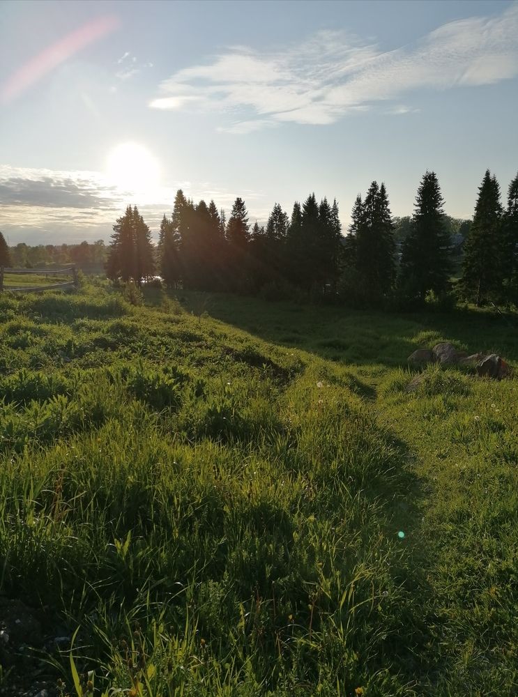 Photograph by Галина Карманова