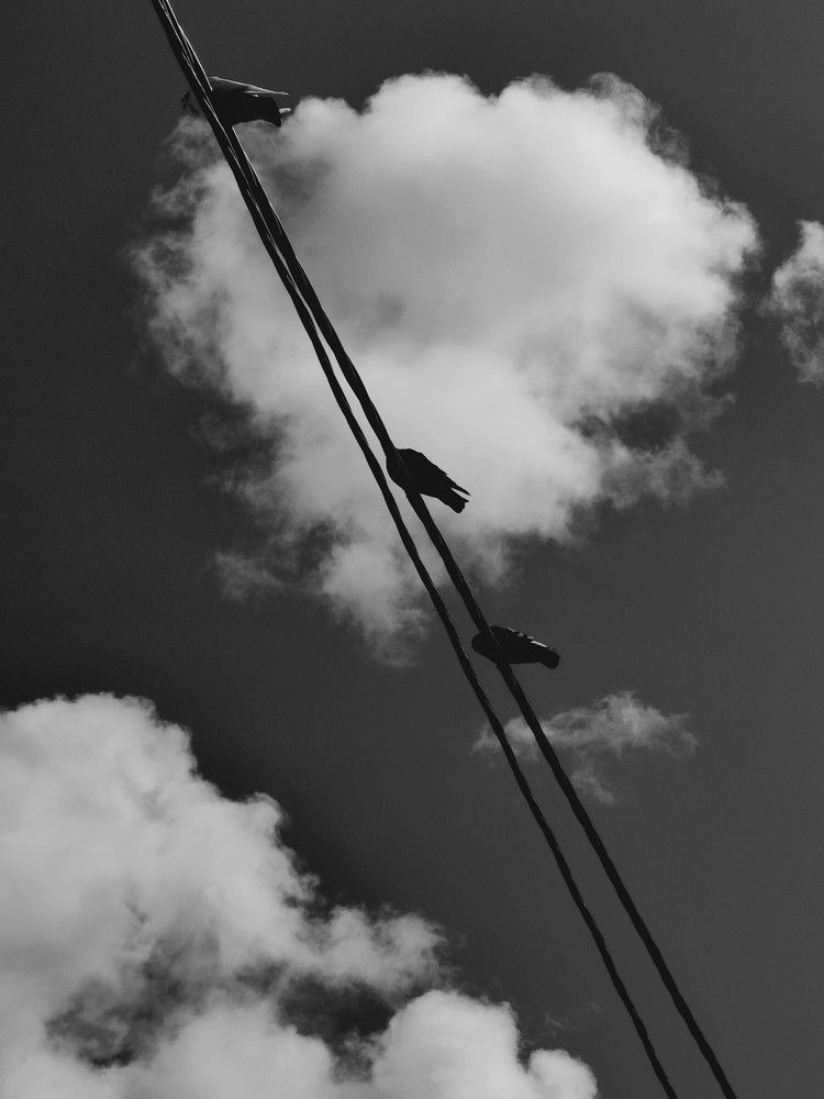 Photograph by Ольга