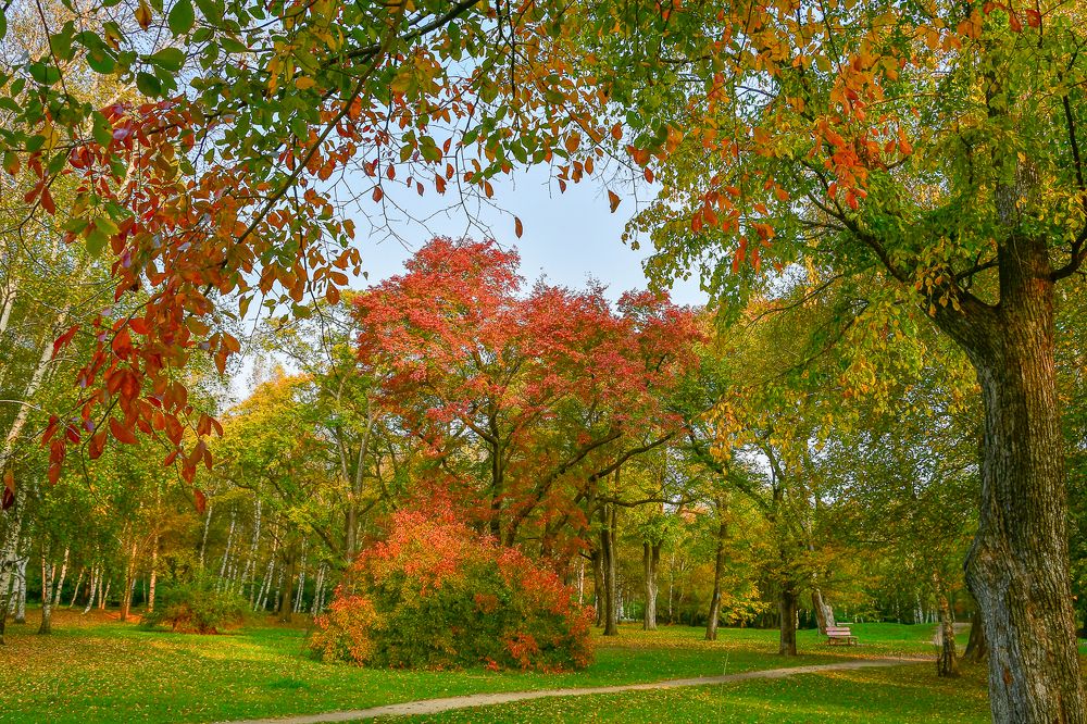 Photograph by Олег Волков