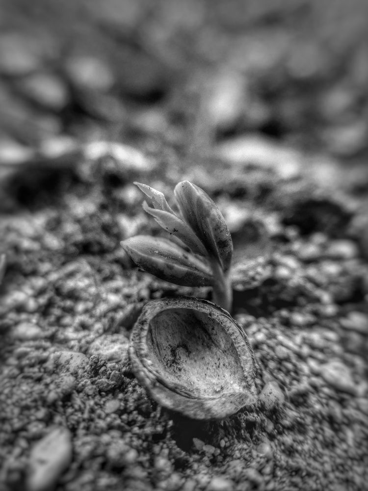 Photograph by Елизавета Польшина