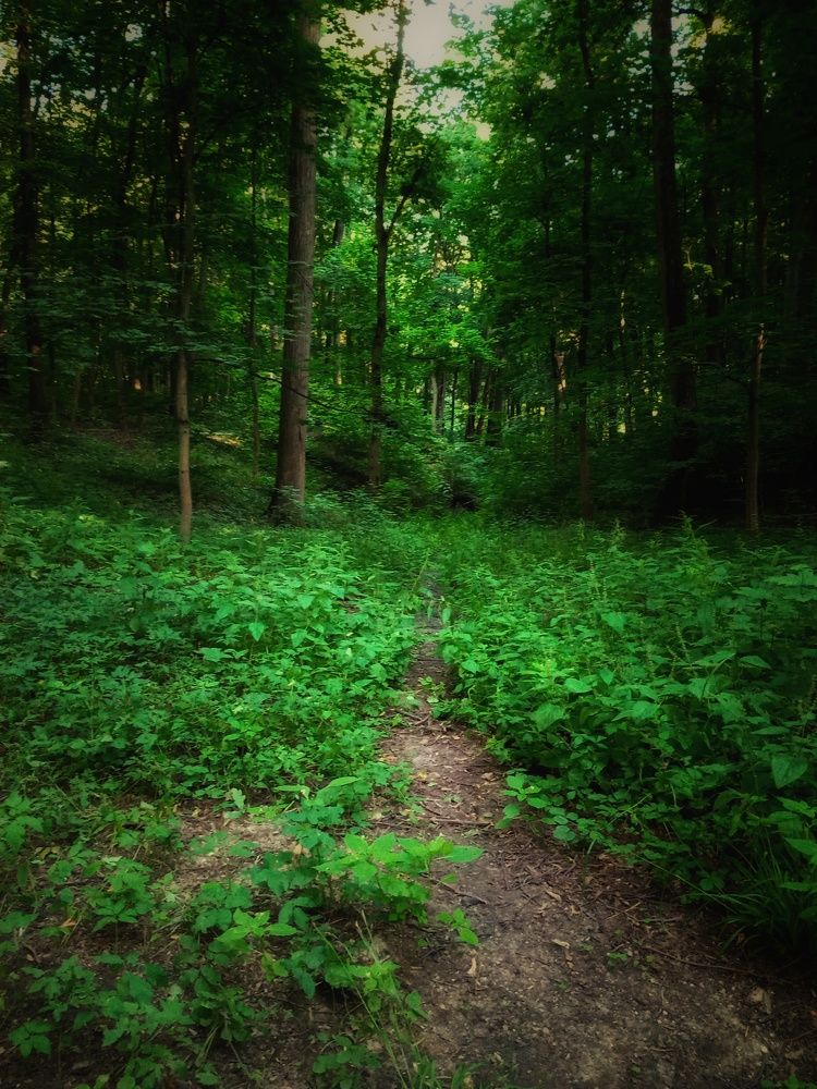 Photograph by Болдаков Сергей