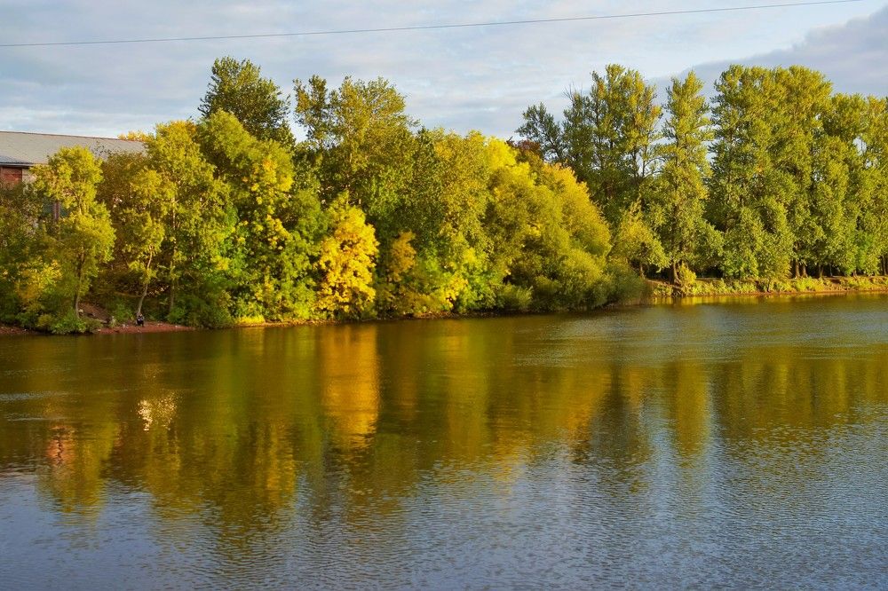 Фотография автора Альбина Хвастунова