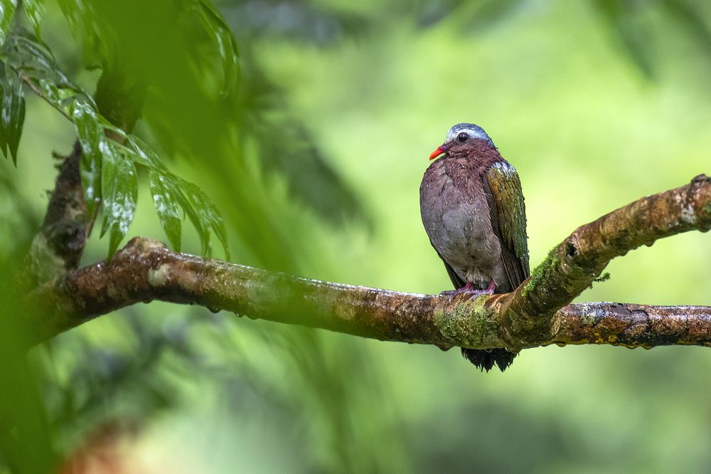 Photograph by Senadheera Danushka