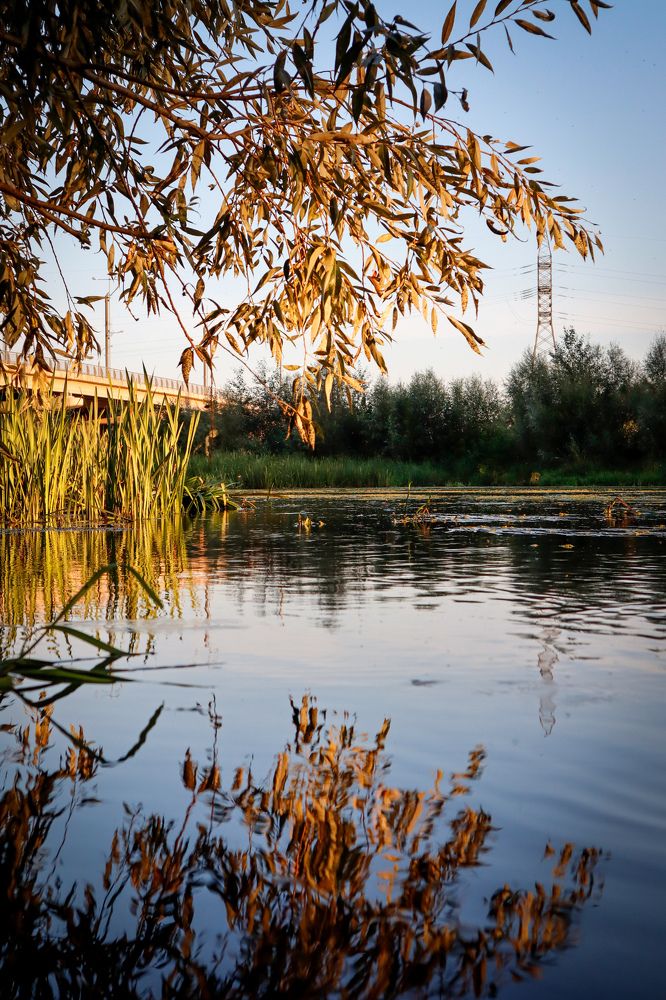 Photograph by Павел Арсенович