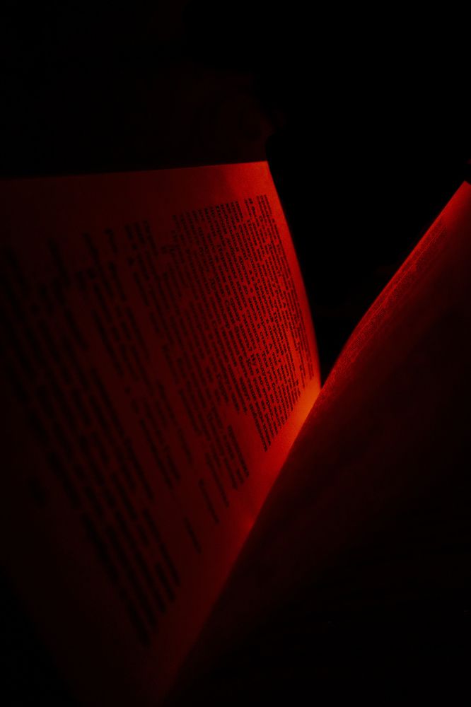 Photograph by Павел Арсенович