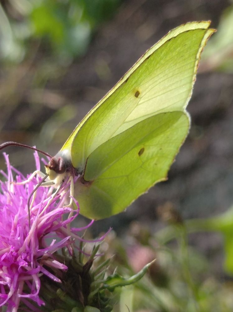 Photograph by Елена Коробченко