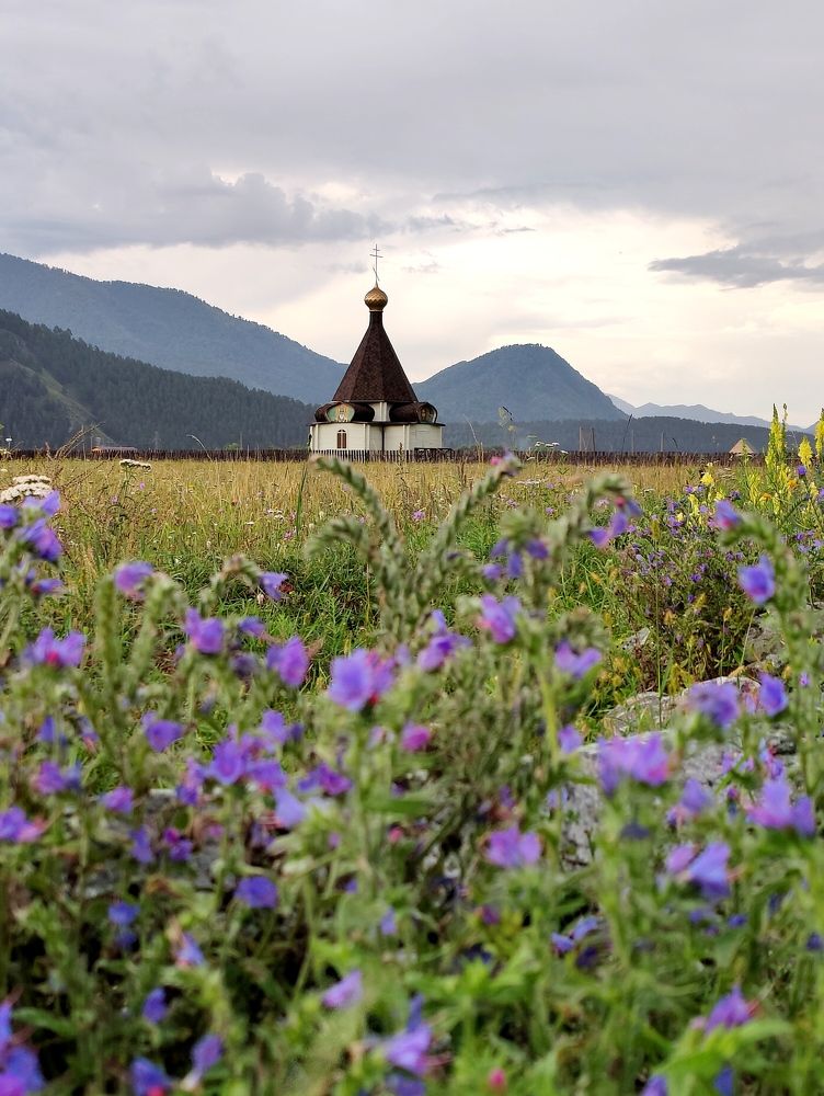 Тишина Алтая