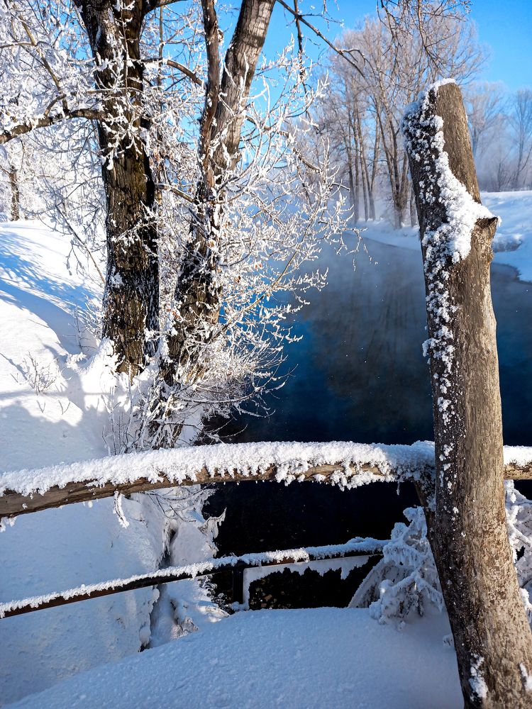 Фотография автора Любовь Харина