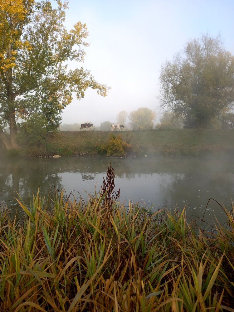 Фотография автора Любовь Харина