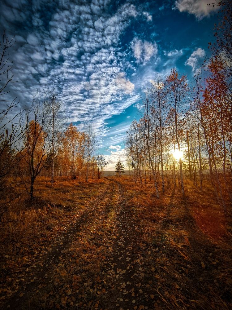 Photograph by Галина Банникова